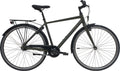 Nishiki Touring Herre
