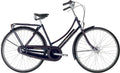 Raleigh Tourist de Luxe Dame