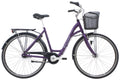 Raleigh Shopping Alu Dame