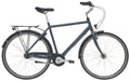 Raleigh Shopping Alu Herre