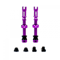 Juice Lubes Tubeless ventiler 65mm, lilla