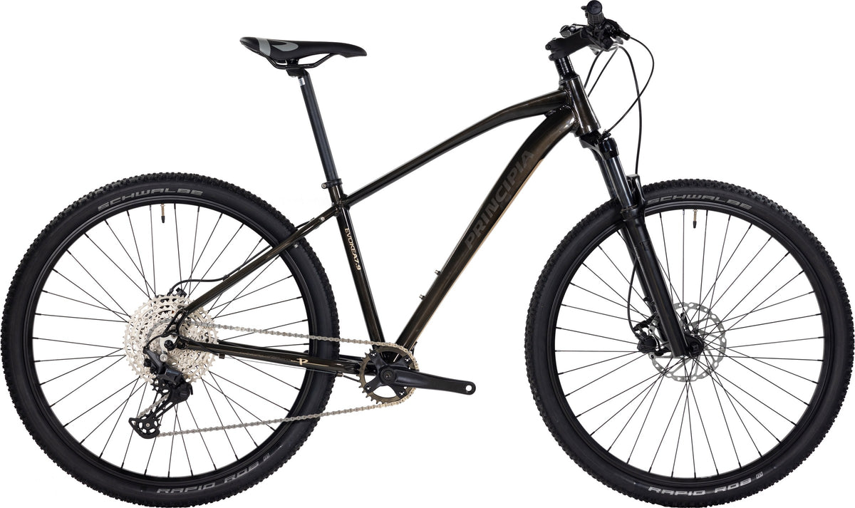 Evoke A7.9 – Champagne